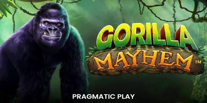 Gorilla Mayhem: Saat Gorila Menguasai Permainan dengan Gaya Berbeda